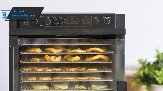 Топ-5 лучших дегидраторов в [2023] году