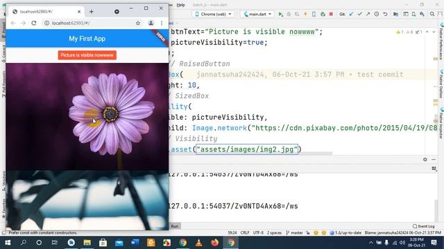 Flutter for Beginners || Image from Assets (Bangla Tutorial) смотреть онлайн