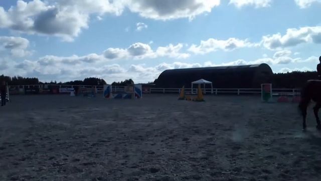 Профессиональный всадник ездиет на лошади выступает в павлово на звание мастер спорта! смотреть онлайн