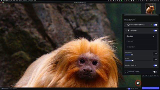 How You Should Use Photo AI as a Standalone App смотреть онлайн