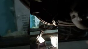 Замена шаровой опоры на Рено Меган 3.