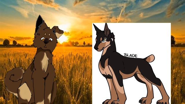 любимые персонажи||хроники стаи||что!? смотреть онлайн