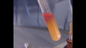 Химия 8 класс. Химический опыт. Реакция хлороводородной кислоты с оксидом кальция