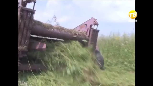 Ярмарки в Твери сменили прописку и формат. 2016-08-09 смотреть онлайн