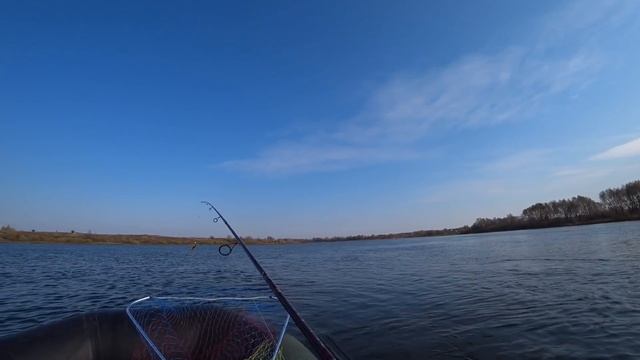 Наконец-то, сколько я её ждал! Рыбалка на спиннинг! Рыбалка на Оке! смотреть онлайн