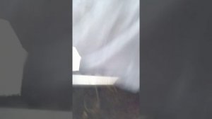 Замена помпы и ремня ГРМ Шкода Фабия 1.4 бензин 2001 год