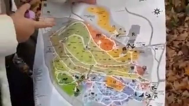 Посещение Пражского зоопарка. Часть 2 смотреть онлайн