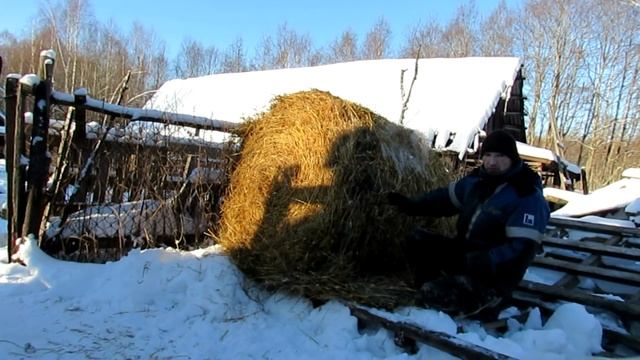 3 сарай с козлятами смотреть онлайн