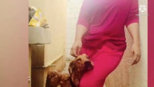 Соседи видели, как эта девушка принесла пса домой. Через 2 месяца они все столпились у ее двери... смотреть онлайн