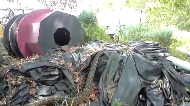 griffin junkyard snake pt 2 смотреть онлайн