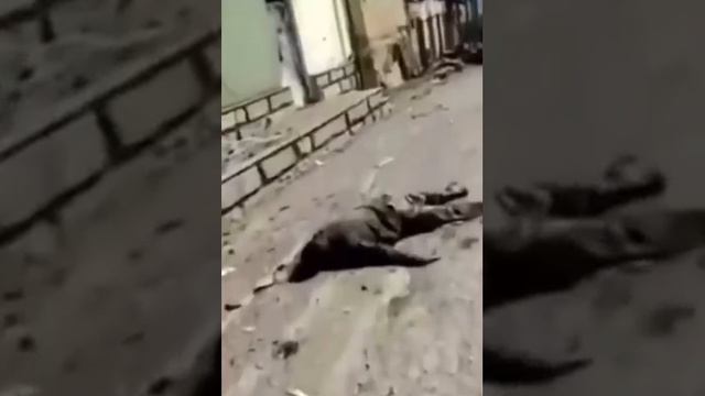 🇦🇿Азербайджанские солдаты после взятия ГАДРУТА.Многочисленные тела разбросаны по улицам.