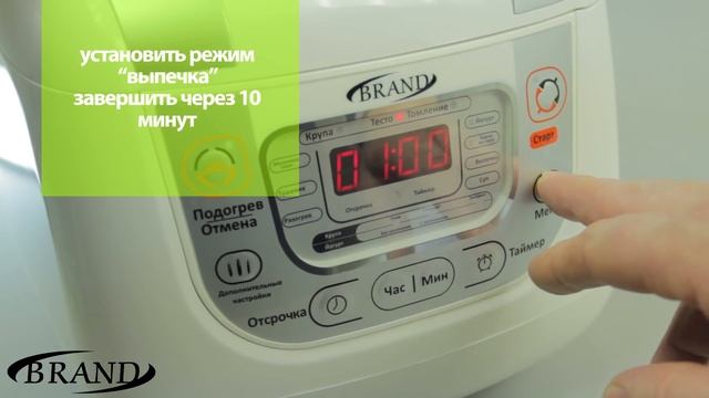 Животные в Зоопарках