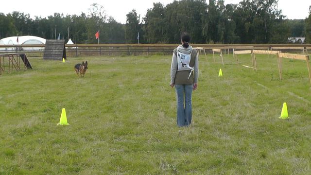 Чемпионат Московской области 2015 г. по ОКД и ЗКС. смотреть онлайн