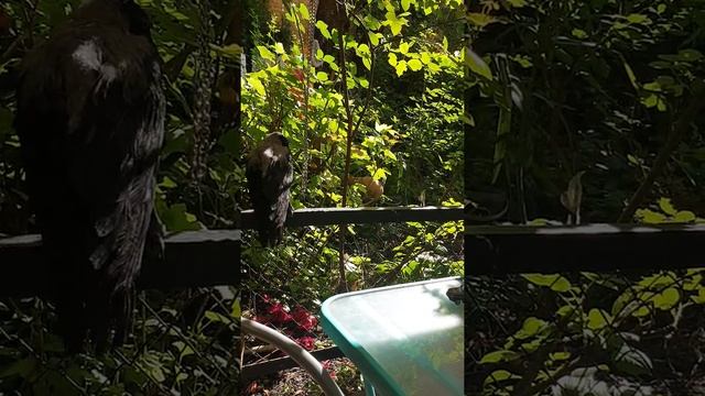 22 июня 2019 г. смотреть онлайн