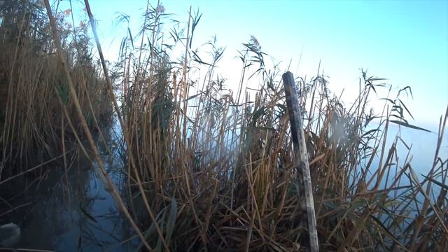 ОХОТА на УТКУ/ОКТЯБРЬ2023/КАК ВСЕГДА ШИКАРНО! смотреть онлайн