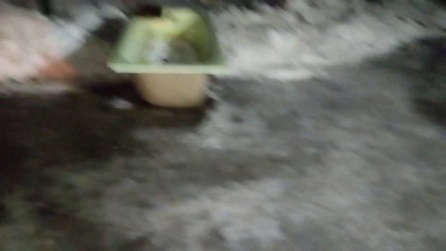 Рост и развитие млекопитающих. День семидесятый. смотреть онлайн