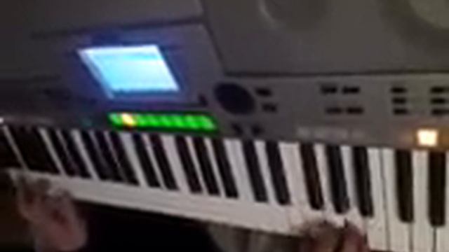 Chechen Sintezator 2