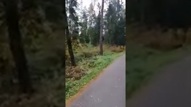 Домулло АБДУРАХИМ Кисай марди САРВАТМАНД ВА КАНИЗ 2020 БЕХТАРИН смотреть онлайн