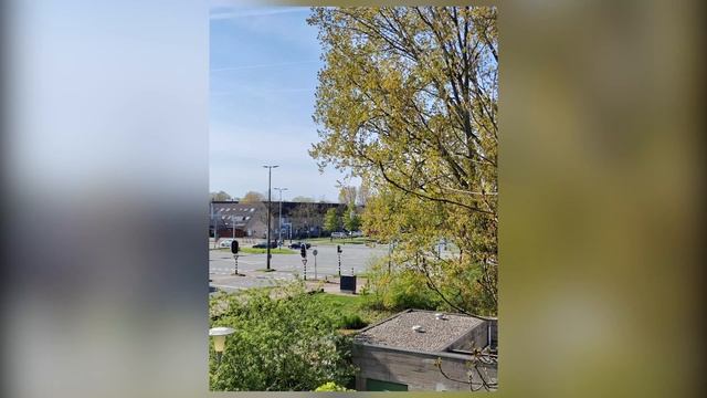 Xiaomi 12X Camera Test смотреть онлайн