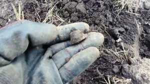 Коп с китайскими металлоискателями MT-705 TC-800 TX-850