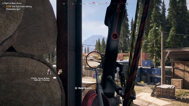 How I got GRIZZLY BEAR Far Cry 5