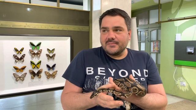 Шурик и Шурочка… смотреть онлайн