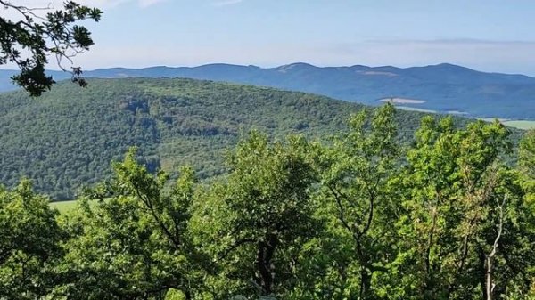 Osečný vrch 551 mnm (Brodzany)