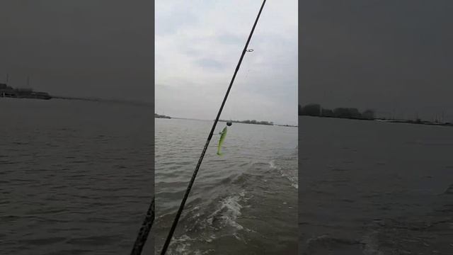 село Ловцы на Неман 400dc смотреть онлайн