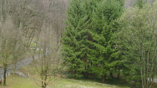 Чарующая природа Карпат смотреть онлайн