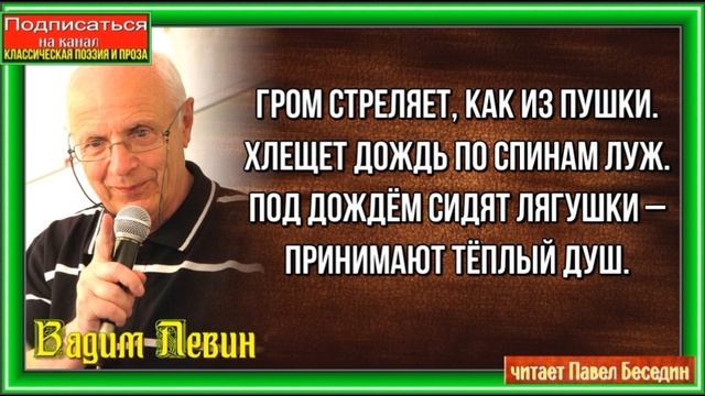 Летний ливень ,Вадим Левин ,Стихотворения детям, читает Павел Беседин смотреть онлайн