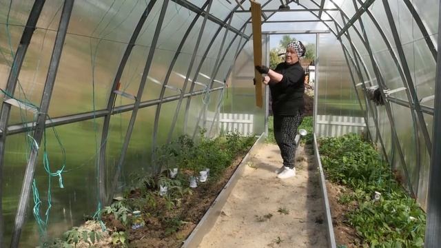 Полка в теплицу. смотреть онлайн