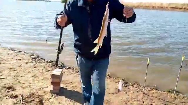 Title Рыбалка в покров на реке Кигач смотреть онлайн