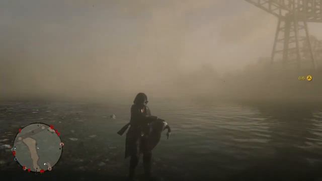 Гусей выпотрошено 0/2