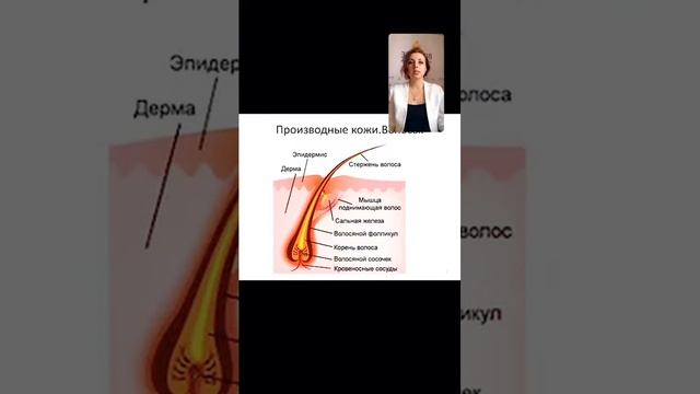 Выпадение волос, их ломкость и процедура ухода - Брюляж. смотреть онлайн