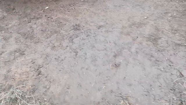 Обратная засыпка фундамента и цоколя. Первый слой. Строительство дома своими руками. смотреть онлайн