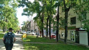 41. г. Хабаровск.  ул. Серышева. 31.05.23.