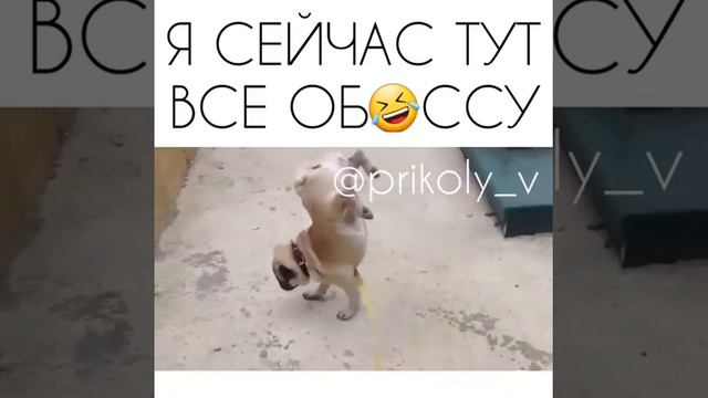 Мал золотник. смотреть онлайн