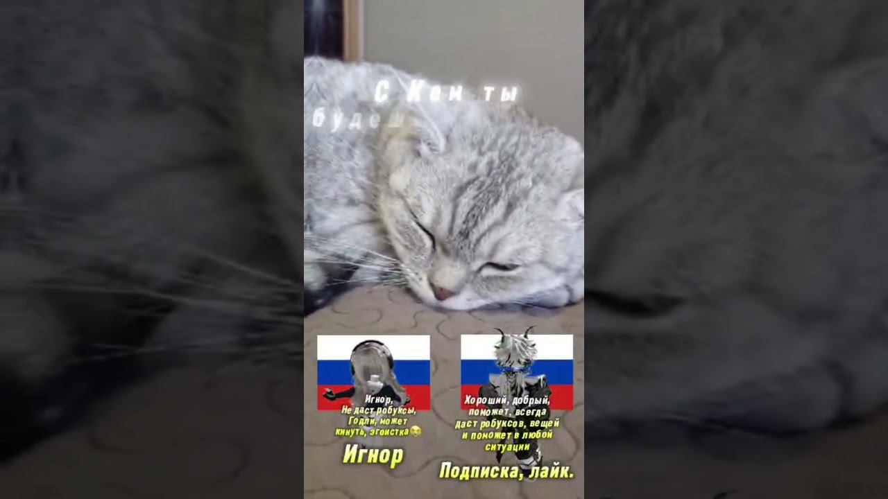 делал видео @Китя смотреть онлайн