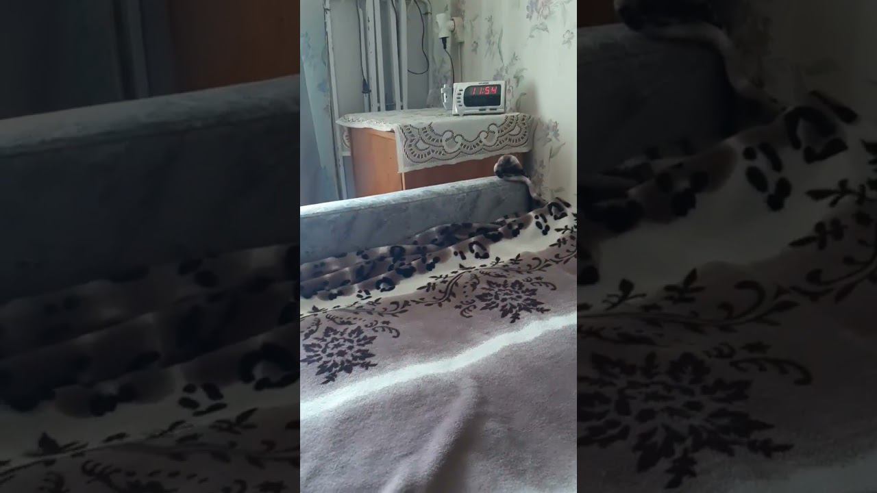 дневничок смотреть онлайн