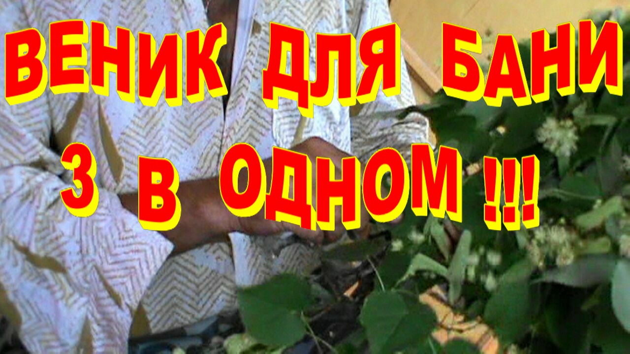 ЛУЧШИЙ веник для  бани  ИЗ ЛИПЫ  3  В  ОДНОМ  ! Как связать веник для бани !