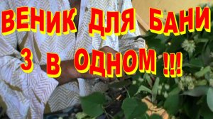 ЛУЧШИЙ веник для  бани  ИЗ ЛИПЫ  3  В  ОДНОМ  ! Как связать веник для бани !