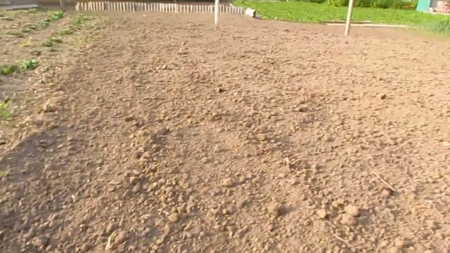 Моя Клубника и Малина (03.05.2022). смотреть онлайн