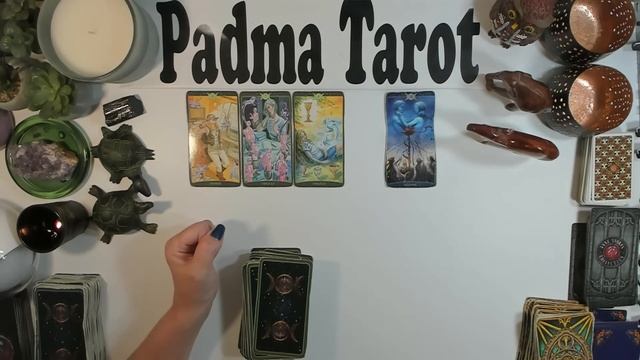 GEMINI KEEP IT TO YOURSELF November 6th-12th Career & Finances Weekly Tarot Reading смотреть онлайн