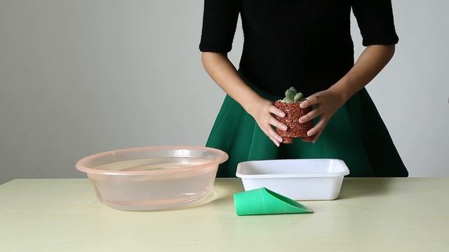 Горшочки FLORA для суккулентов. Посадка и полив.