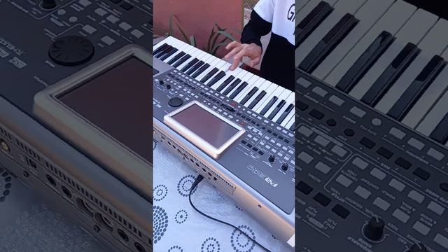 Laçınım. korg pa900. sintezator ifa. смотреть онлайн