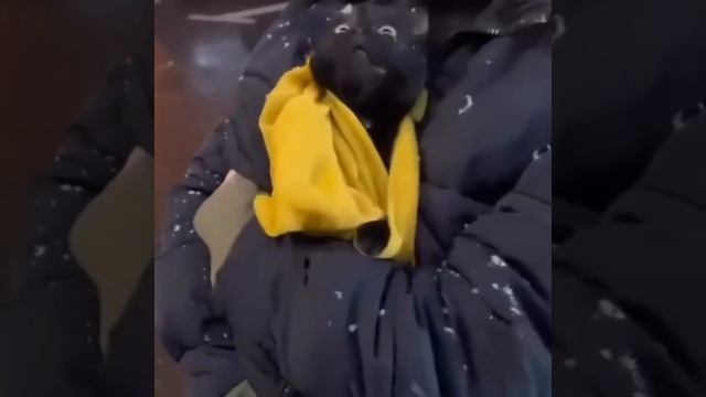 Что ж, со снегом ☃️ Штормовой ветер принёс нам похолодание.