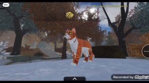 коты-воители 6 часть