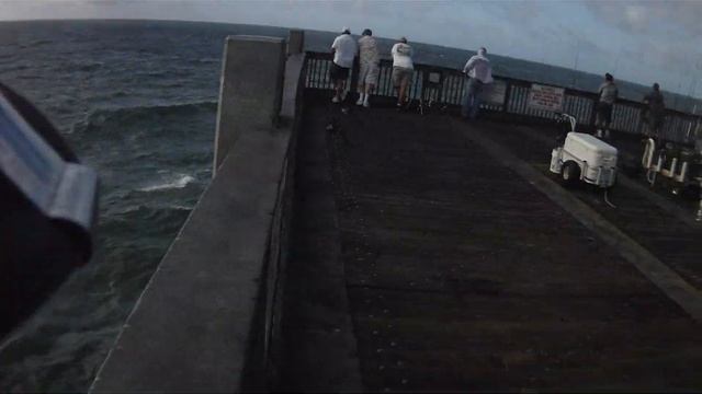Spanish Mackerel, Hardtail(Blue Runner), Lady, Bonito Fishing