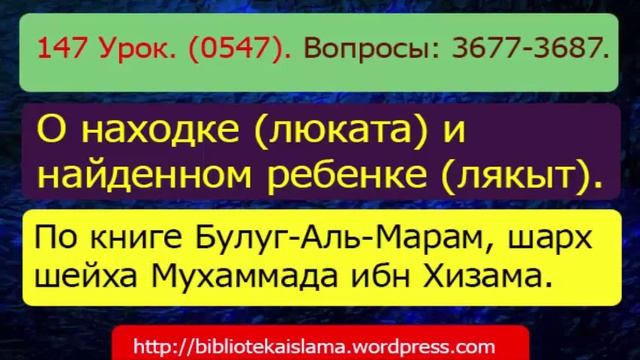 147 О находке (люката) и найденном ребенке (лякыт). (0547) 3677-3687 смотреть онлайн