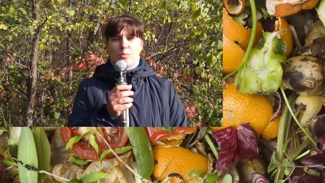 Урбанизация, факты, проблемы, экология города, экология / ecology city смотреть онлайн